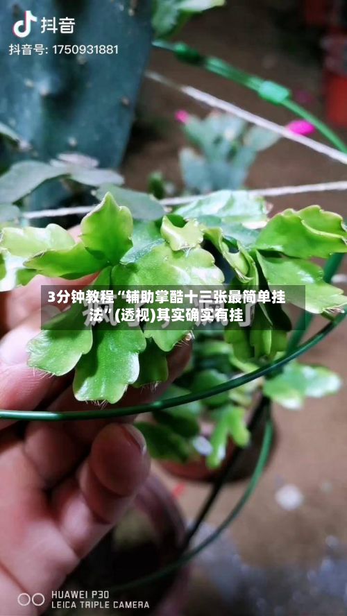 3分钟教程“辅助掌酷十三张最简单挂法”(透视)其实确实有挂-第2张图片