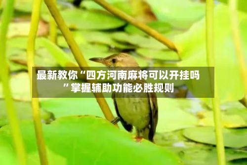 最新教你“四方河南麻将可以开挂吗”掌握辅助功能必胜规则-第2张图片