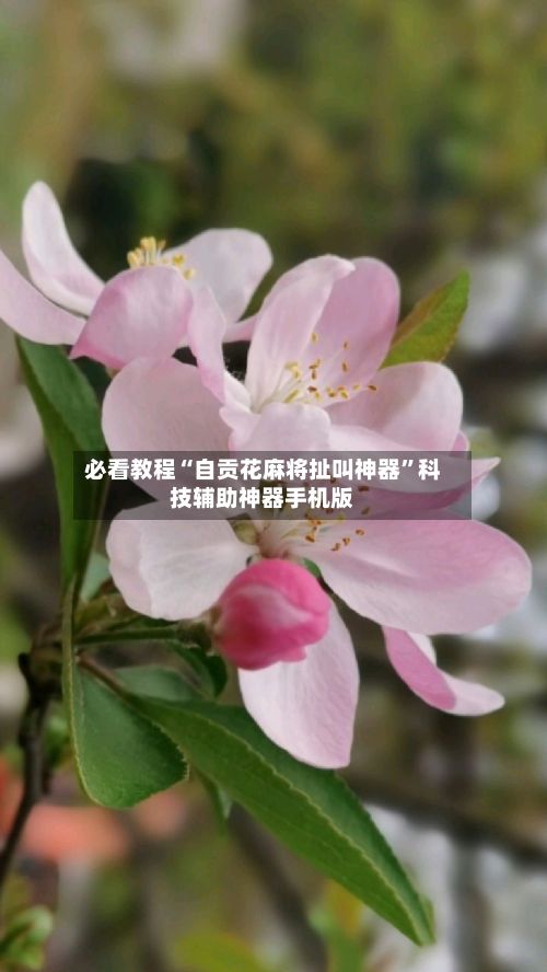 必看教程“自贡花麻将扯叫神器”科技辅助神器手机版-第3张图片