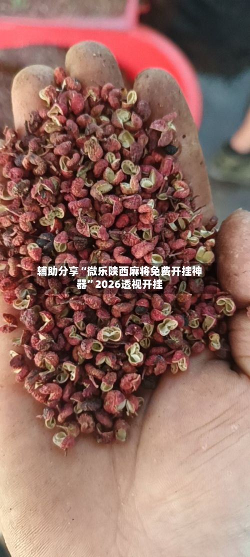 辅助分享“微乐陕西麻将免费开挂神器”2026透视开挂-第2张图片
