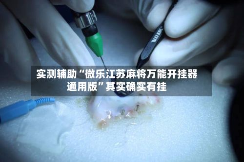 实测辅助“微乐江苏麻将万能开挂器通用版	”其实确实有挂-第3张图片