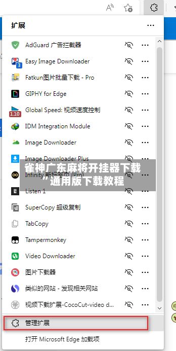 雀神广东麻将开挂器下载”通用版下载教程-第2张图片