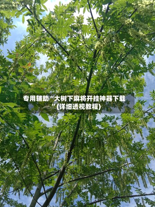 专用辅助“大树下麻将开挂神器下载	”(详细透视教程)-第2张图片