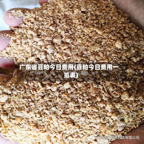 广东省豆粕今日费用(豆粕今日费用一览表)-第3张图片