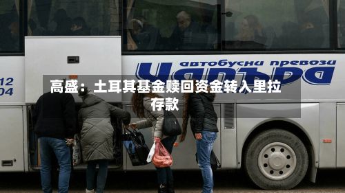 高盛:土耳其基金赎回资金转入里拉存款-第3张图片