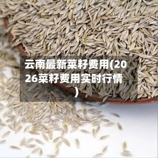 云南最新菜籽费用(2026菜籽费用实时行情)