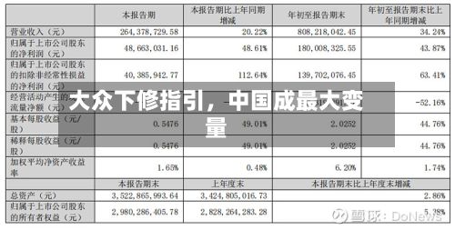 大众下修指引	，中国成最大变量-第2张图片