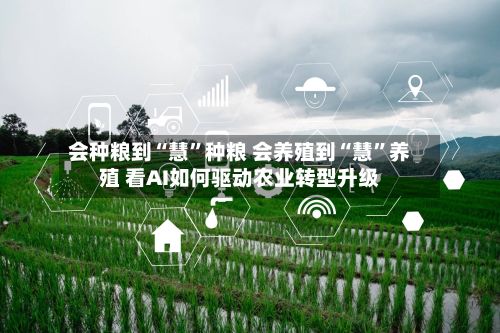 会种粮到“慧	”种粮 会养殖到“慧”养殖 看AI如何驱动农业转型升级-第2张图片