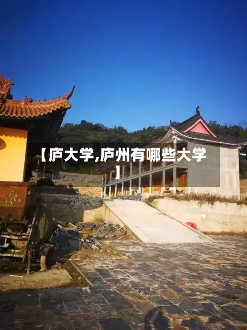 【庐大学,庐州有哪些大学】-第2张图片