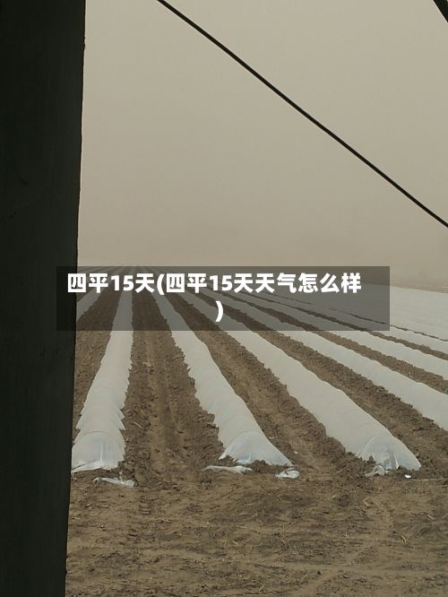 四平15天(四平15天天气怎么样)