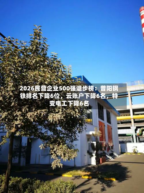 2026民营企业500强退步榜：普阳钢铁排名下降6位	，云账户下降6名，特变电工下降6名-第2张图片