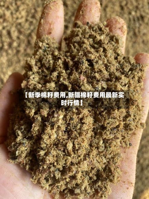 【新季棉籽费用,新疆棉籽费用最新实时行情】-第2张图片