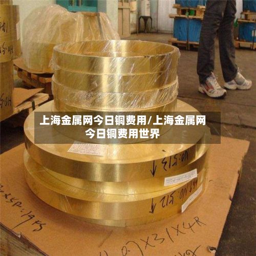 上海金属网今日铜费用/上海金属网今日铜费用世界