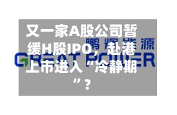 又一家A股公司暂缓H股IPO，赴港上市进入“冷静期”？-第3张图片