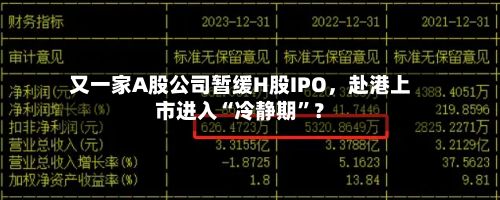又一家A股公司暂缓H股IPO，赴港上市进入“冷静期	”？-第2张图片