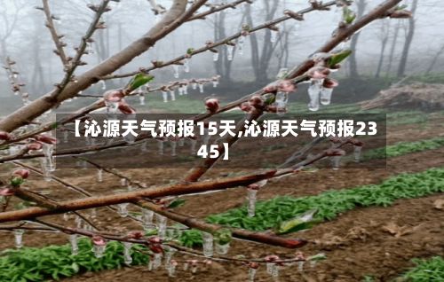 【沁源天气预报15天,沁源天气预报2345】