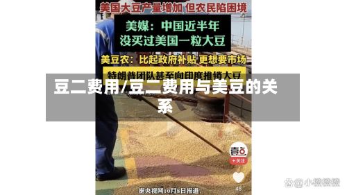 豆二费用/豆二费用与美豆的关系