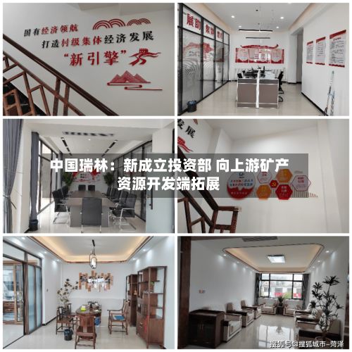 中国瑞林:新成立投资部 向上游矿产资源开发端拓展-第1张图片