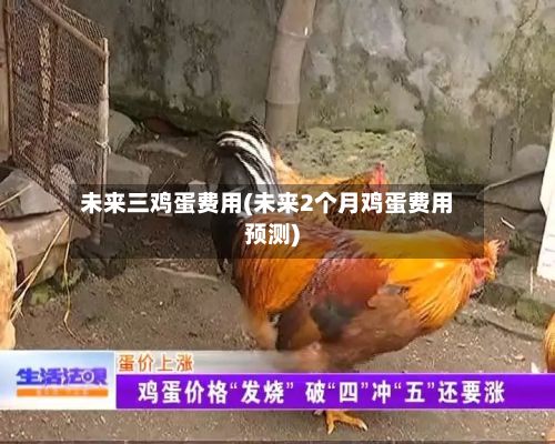 未来三鸡蛋费用(未来2个月鸡蛋费用预测)