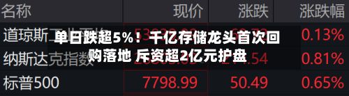 单日跌超5%！千亿存储龙头首次回购落地 斥资超2亿元护盘
