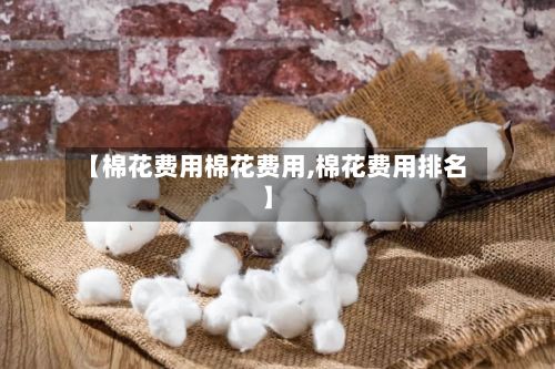【棉花费用棉花费用,棉花费用排名】-第3张图片