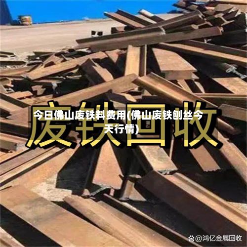 今日佛山废铁料费用(佛山废铁刨丝今天行情)