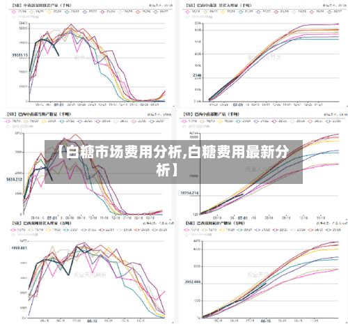 【白糖市场费用分析,白糖费用最新分析】
