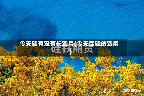 今天硅有没有长费用(今天锰硅的费用)