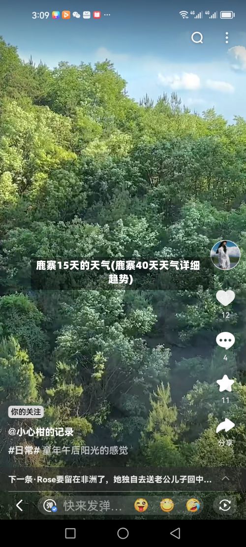鹿寨15天的天气(鹿寨40天天气详细趋势)-第2张图片