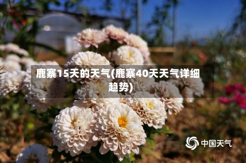 鹿寨15天的天气(鹿寨40天天气详细趋势)