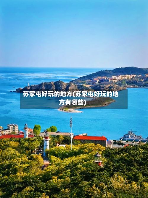 苏家屯好玩的地方(苏家屯好玩的地方有哪些)-第2张图片