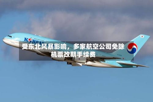 受东北风暴影响	，多家航空公司免除机票改期手续费-第3张图片