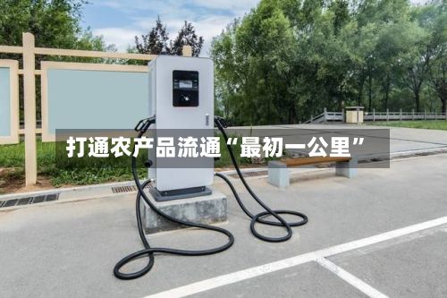 打通农产品流通“最初一公里”-第2张图片
