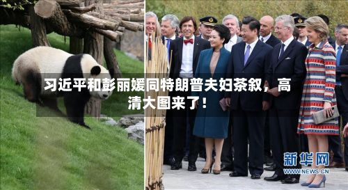 习近平和彭丽媛同特朗普夫妇茶叙	，高清大图来了！-第3张图片