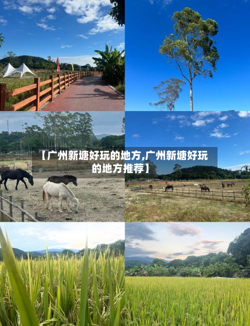 【广州新塘好玩的地方,广州新塘好玩的地方推荐】