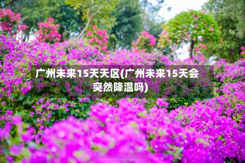 广州未来15天天区(广州未来15天会突然降温吗)