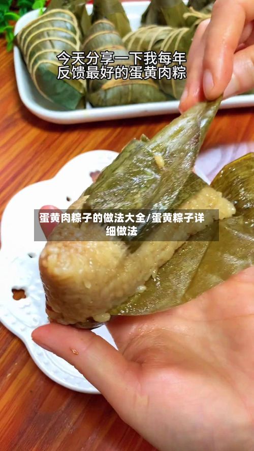 蛋黄肉粽子的做法大全/蛋黄粽子详细做法
