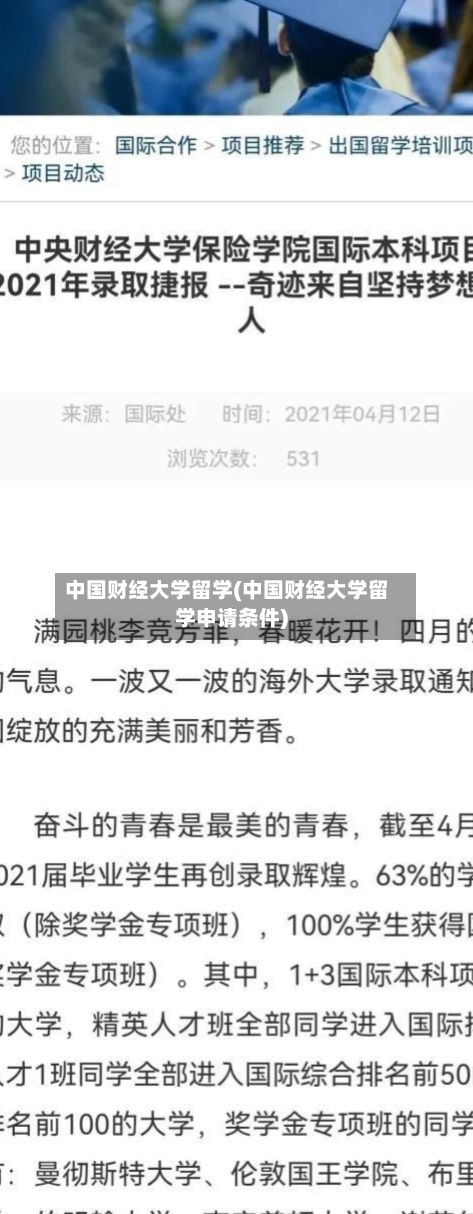 中国财经大学留学(中国财经大学留学申请条件)-第2张图片