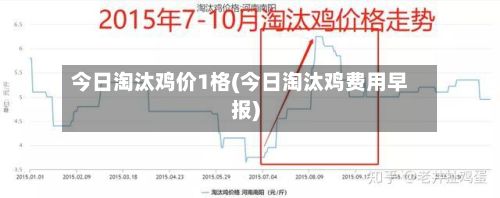 今日淘汰鸡价1格(今日淘汰鸡费用早报)