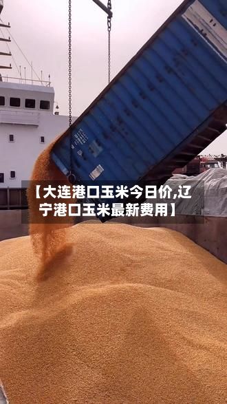 【大连港口玉米今日价,辽宁港口玉米最新费用】