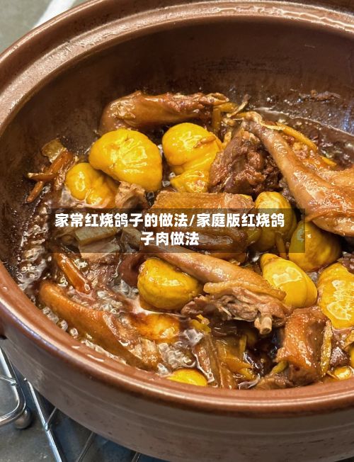 家常红烧鸽子的做法/家庭版红烧鸽子肉做法-第2张图片