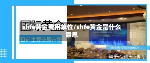 shfe黄金费用单位/shfe黄金是什么意思-第2张图片