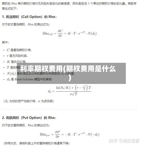 利率期权费用(期权费用是什么)