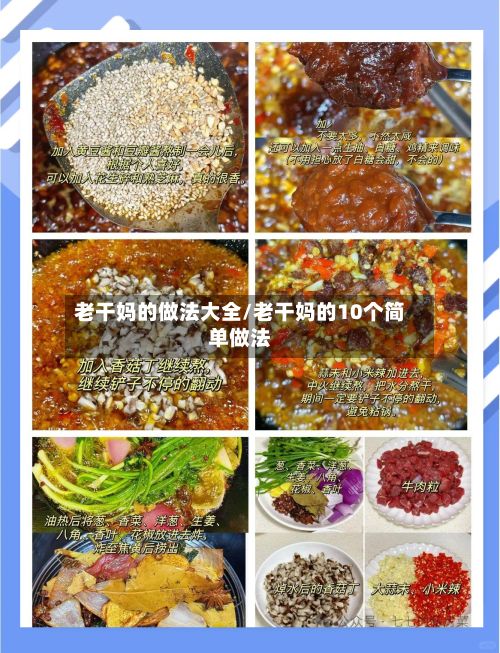 老干妈的做法大全/老干妈的10个简单做法