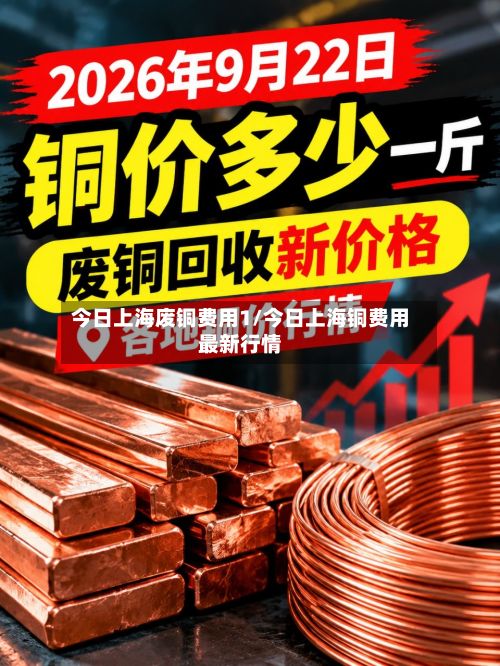 今日上海废铜费用1/今日上海铜费用最新行情-第2张图片