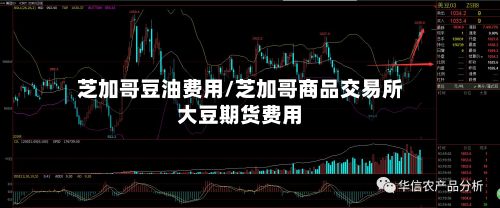 芝加哥豆油费用/芝加哥商品交易所大豆期货费用