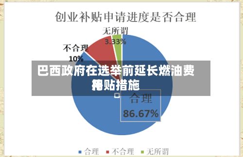 巴西政府在选举前延长燃油费用补贴措施-第3张图片