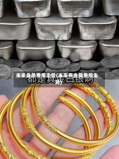 未来盘条费用走势(未来贵金属费用走势)