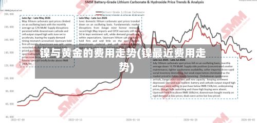 镍与黄金的费用走势(镍最近费用走势)