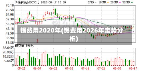 锡费用2020年(锡费用2026年走势分析)-第3张图片
